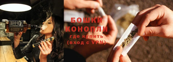 шишки Балахна