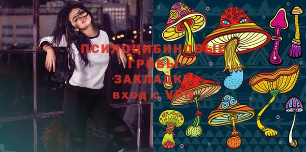 экстази Богородицк