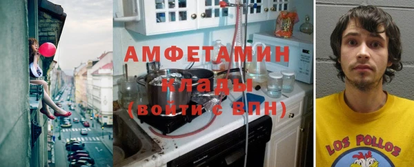 шишки Балахна